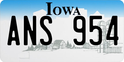 IA license plate ANS954