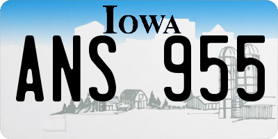 IA license plate ANS955