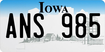 IA license plate ANS985