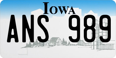 IA license plate ANS989