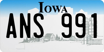 IA license plate ANS991