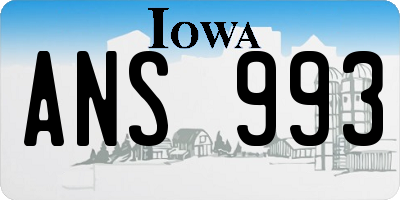 IA license plate ANS993