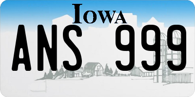 IA license plate ANS999