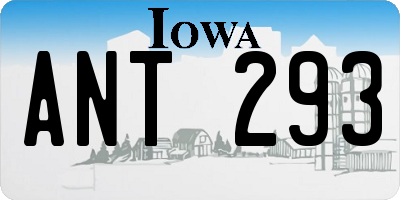 IA license plate ANT293