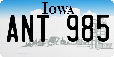 IA license plate ANT985