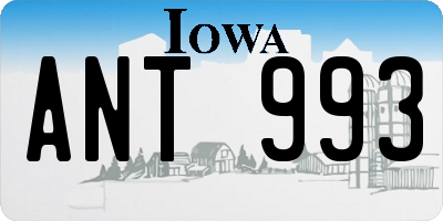 IA license plate ANT993