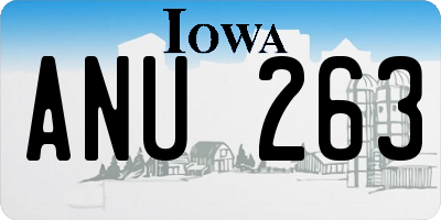 IA license plate ANU263