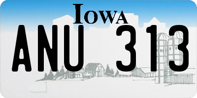 IA license plate ANU313
