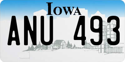 IA license plate ANU493