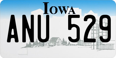 IA license plate ANU529