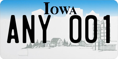 IA license plate ANY001