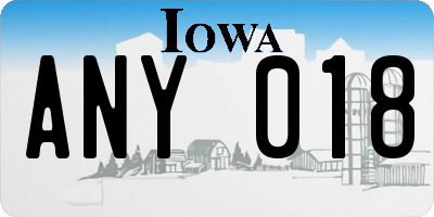 IA license plate ANY018