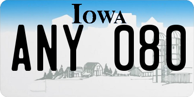 IA license plate ANY080