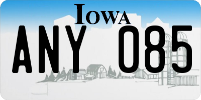 IA license plate ANY085