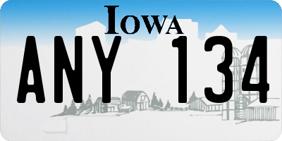 IA license plate ANY134