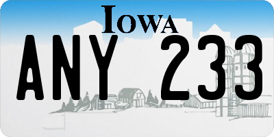 IA license plate ANY233