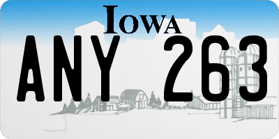 IA license plate ANY263