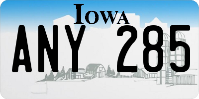 IA license plate ANY285