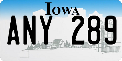 IA license plate ANY289