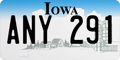 IA license plate ANY291