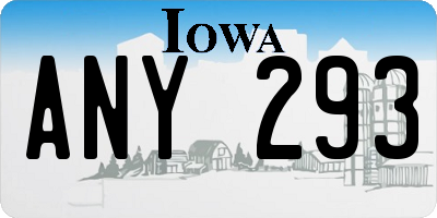 IA license plate ANY293