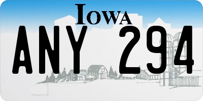 IA license plate ANY294