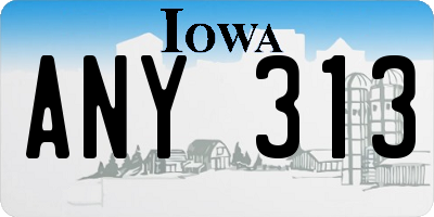 IA license plate ANY313