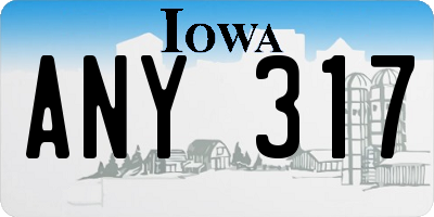 IA license plate ANY317