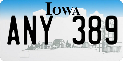 IA license plate ANY389