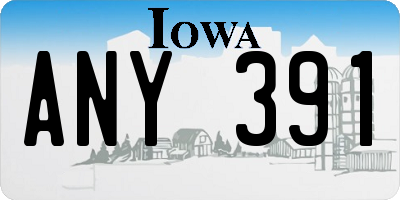 IA license plate ANY391