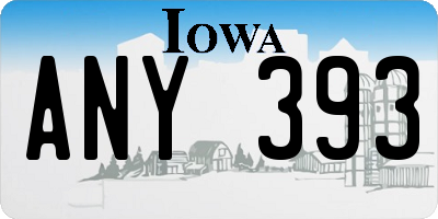 IA license plate ANY393