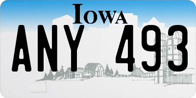 IA license plate ANY493