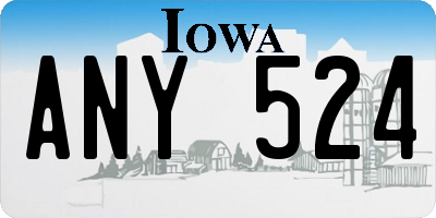 IA license plate ANY524