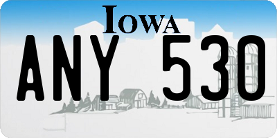 IA license plate ANY530