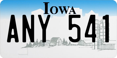 IA license plate ANY541