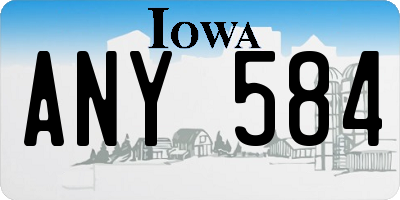 IA license plate ANY584