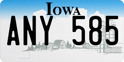 IA license plate ANY585