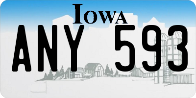 IA license plate ANY593