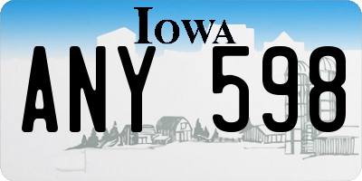 IA license plate ANY598