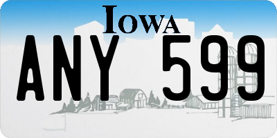 IA license plate ANY599