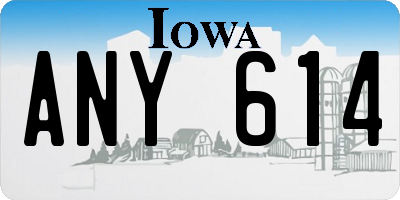 IA license plate ANY614