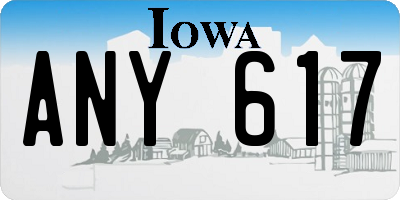 IA license plate ANY617