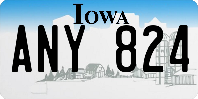 IA license plate ANY824