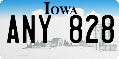 IA license plate ANY828
