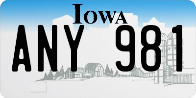 IA license plate ANY981