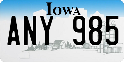 IA license plate ANY985