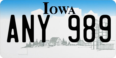 IA license plate ANY989