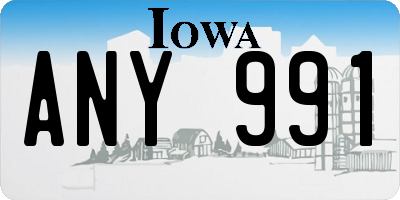 IA license plate ANY991