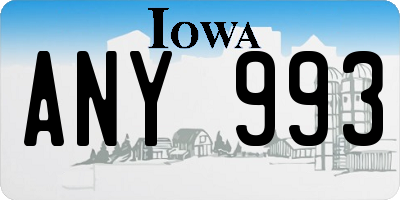 IA license plate ANY993
