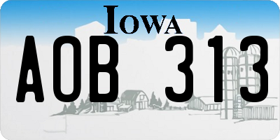 IA license plate AOB313